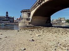 Niedrigwasser: Ein Pfeiler der Augustusbrücke in Dresden steht auf dem Trockenen. Der Pegel der Elbe zeigt am Morgen nur 87 Zentimeter, normal wären über 2,30 Meter.