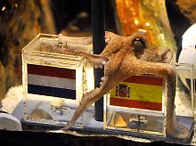 Spanien hat es verdient, meint Herr Krake.