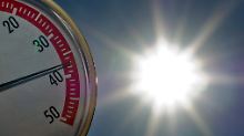 Leider sind die Temperaturrichtlinien unverbindlich. 