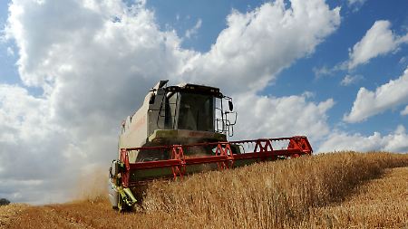 Der heiße Sommer macht den Landwirten schwer zu schaffen. 