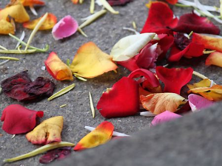 Nichts für eine Rosenbowle, aber für die Liebe: Rosenblätter vor einem Standesamt.
