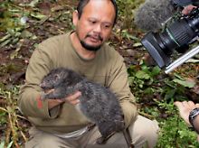 In Indonesien gibt es noch heute beeindruckend große Ratten.