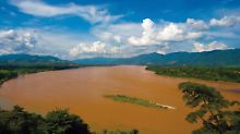 Im Mekong leben vier der zehn größten Süßwasserfische der Welt.