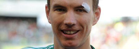 Edin Dzeko, Torschützenkönig 2009/2010