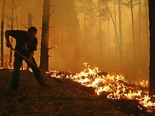 Hunderttausende Feuerwehrmänner, Soldaten und Freiwillige kämpfen gegen die Flammen. 