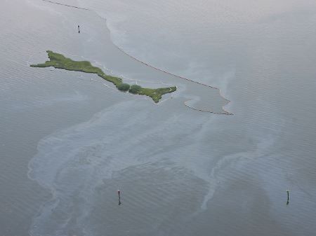Das Öl steht noch immer in der Barataria Bay vor der Küste Louisianas.