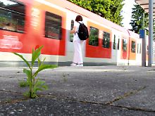 Am S-Bahnhof München-Solln, wo der Geschäftsmann Dominik Brunner zu Tode geprügelt wurde.