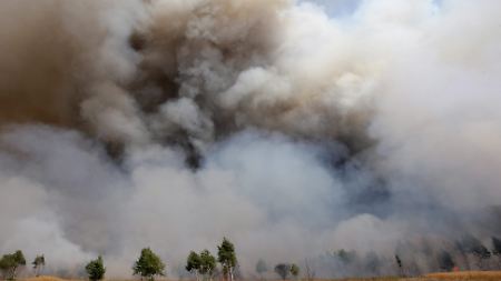Die Brandwolken sollen in etwa drei Tagen Polen und Südschweden erreichen.