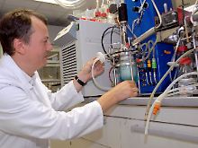 Biochemiker aus Dortmund haben gentechnisch manipulierte Bakterien dazu gebracht, den Hauptwirkstoff von Cannabispflanzen, THC, zu produzieren.