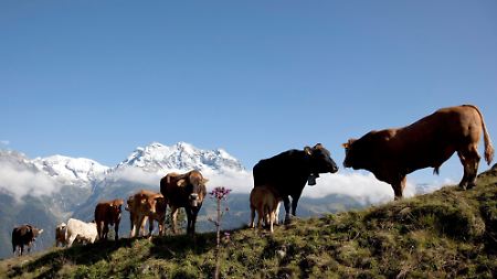 Schweiz bleibt ohne Todesstrafe: Initiative zieht Antrag zurück