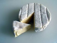 Auch beim allseits beliebten Camembert gibt es ein Pilzgeflecht.