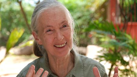 Freundlich, geduldig, überzeugend: Jane Goodall will die Welt verbessern. Und wir sollen alle mitmachen.