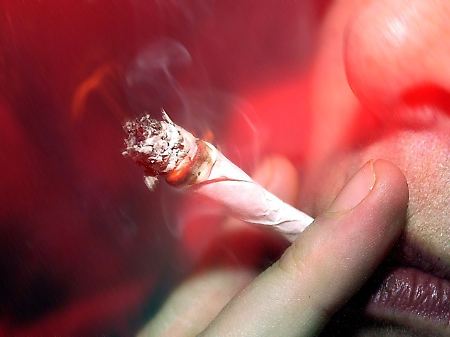 Cannabis als Medikament: Joints helfen Schmerzpatienten
