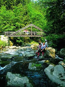 Bach im Höllental im Frankenwald.