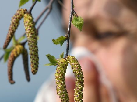 Eine der häufigsten Allergien ist die Pollenallergie, die auch als Heuschnupfen bezeichnet wird. 