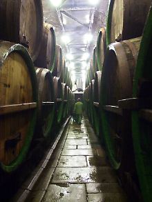 Traditionelle Holzfässer im Keller der "Pilsner Urquell"- Brauerei in Pilsen.