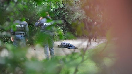 Der verdächtige Mann wurde in einem Park gestellt und gefesselt.