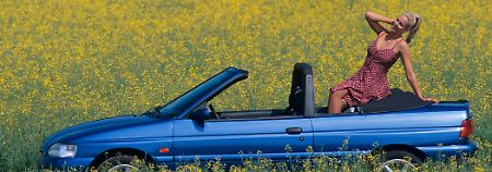 Ein Ford im Kornfeld: Entweder sind die Besitzer der Fahrzeuge aus Köln besonders umtriebig oder genügsam.