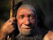 Dieser ältere Neandertaler steht im Neanderthal-Museum in Mettmann (NRW).