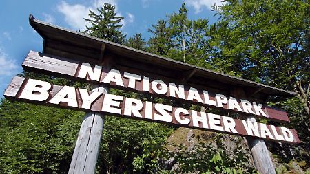 Am 7. Oktober 2010 feiert der Nationalpark sein 40-jähriges Bestehen.