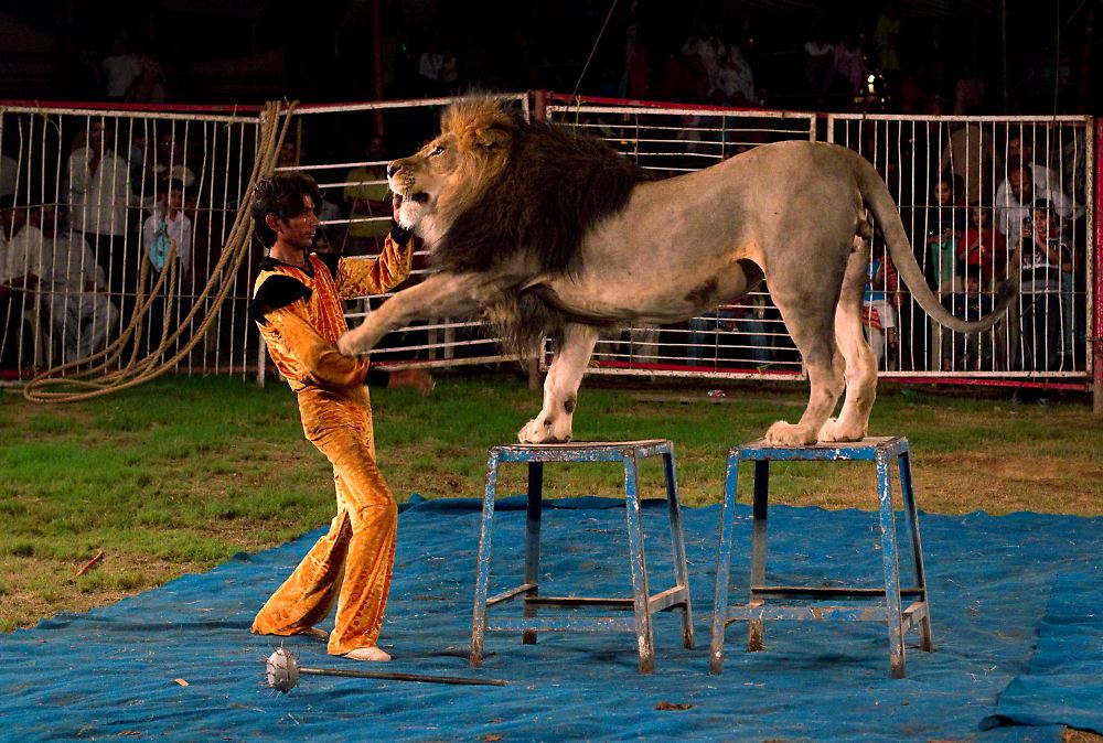 dylan sprouse girlfriend dylan sprouse girlfriend. dylan sprouse girlfriend