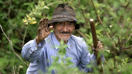 Timoteo Arboledo ist 98 Jahre alt. Um zu seinem Feld zu gelangen, muss er täglich mehrere hundert Meter eines Berges erklimmen.