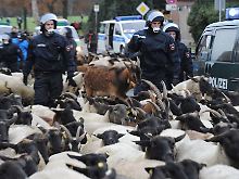 Für die Polizei ist der Einsatz beim Castor-Transport eine große Belastung.