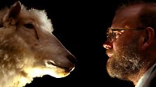 Mit Dolly fing alles an: Klone bevölkern die Welt