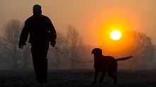 n-tv Ratgeber: Knippertz testet GPS-Hundehalsband