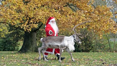 Ein Weihnachtsmann mit Rentier Rudi auf Gut Basthorst.