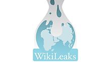 "Operation Payback" rächt Wikileaks: Kreditkarten-Firmen gehackt