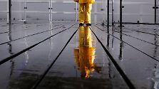 Die Fotos des Jahres 2010: Bilder der Forschung