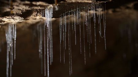 In den klebrigen Fangfäden der Glühwürmchen, die von der Decke hängen, sollen sich Insekten verheddern. Anfassen dürfen Besucher der Höhlen von Te Anau die leuchtenden Gebilde nicht.