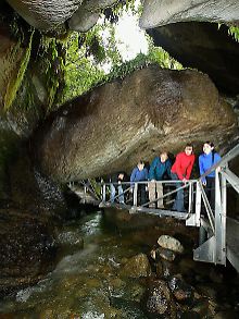 Eingang zu einer anderen Welt: In kleinen Gruppen können Besucher die Höhlen von Te Anau besichtigen. 