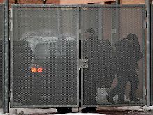 Einer der verhafteten Männer wird zum Gericht gebracht. 