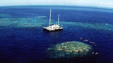 Das größte Korallenriff der Erde: Great Barrier Reef