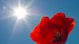 Mit Hilfe der UVB-Strahlen im Sonnenlicht kann im menschlichen Körper Vitamin D produziert werden.