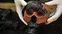 Nach der digitalen Sezierung wollen anthropologische Bildhauer eine realistische Skulptur von "Bernie" modellieren.