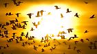 Mehr als Licht und Wärme: Die Sonne