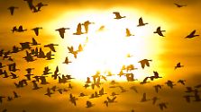Mehr als Licht und Wärme: Die Sonne