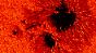 Sonnenflecken im Detail: Magnetfelder bewirken an manchen Stellen, dass nicht so viel Wärme aus dem Innern der Sonne in sichtbare Strahlung umgewandelt wird. Deshalb erscheinen die Flecken dunkel.