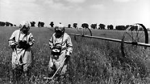 Majak, Windscale, Tschernobyl: Die schlimmsten Atomunfälle