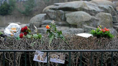 Die Zoobesucher vermissen Knut.