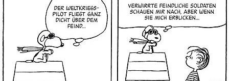 Der weltberühmte Weltkriegspilot ...