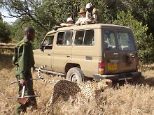 Wildhüter schützen die Tiere im Ol Pejeta Reservat vor Wilderern. Peilsender zeigen, wo die Tiere sich gerade aufhalten.