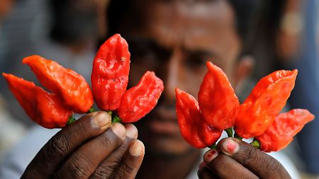 Die "Bhut Jolokia" aus Indien gilt als die schärfste Chili der Welt.