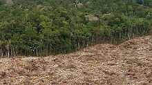 Seit der Ankunft der Europäer um 1500 wurden 93 Prozent des brasilianischen Regenwaldes zerstört.