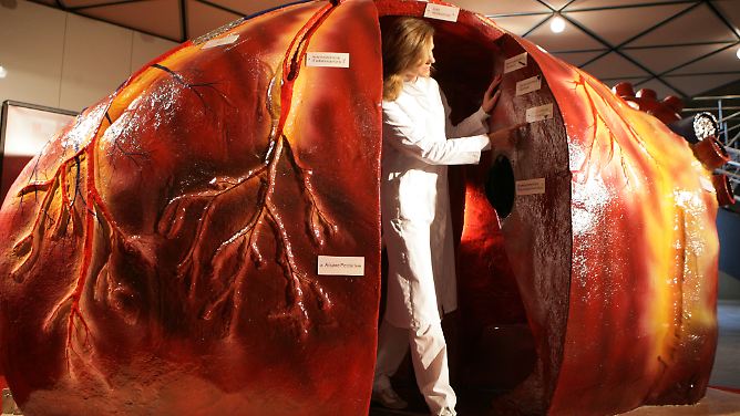 Zu wenige Spender weltweit: Leben retten durch Organtransplantation