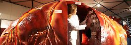Organe sind Mangelware: Gesetz soll Organspender bringen