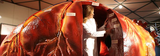 Organe sind Mangelware: Gesetz soll Organspender bringen